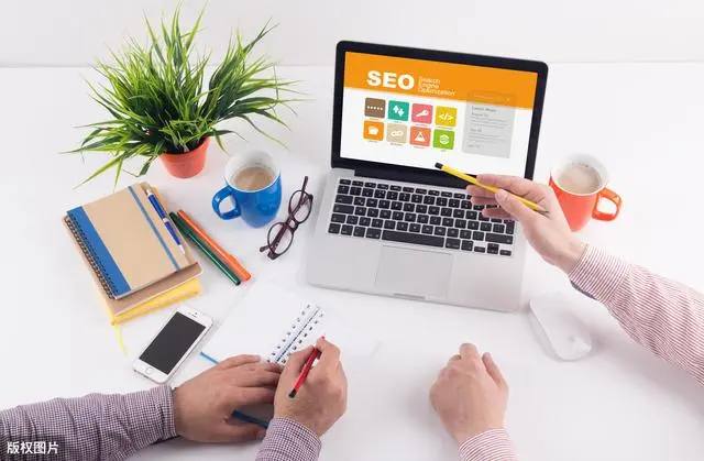 水库附近放生致大量猫咪落水